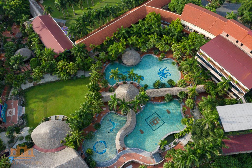 Cảnh Bể Bơi